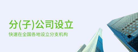 分（子）公司設立